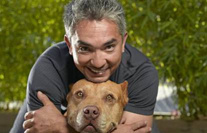 Cesar Millan o pit bullovima i stereotipima o opasnim psima