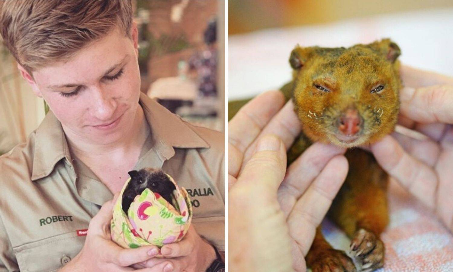 Obitelj velikog srca: Spasili su 90 tisuća australskih životinja
