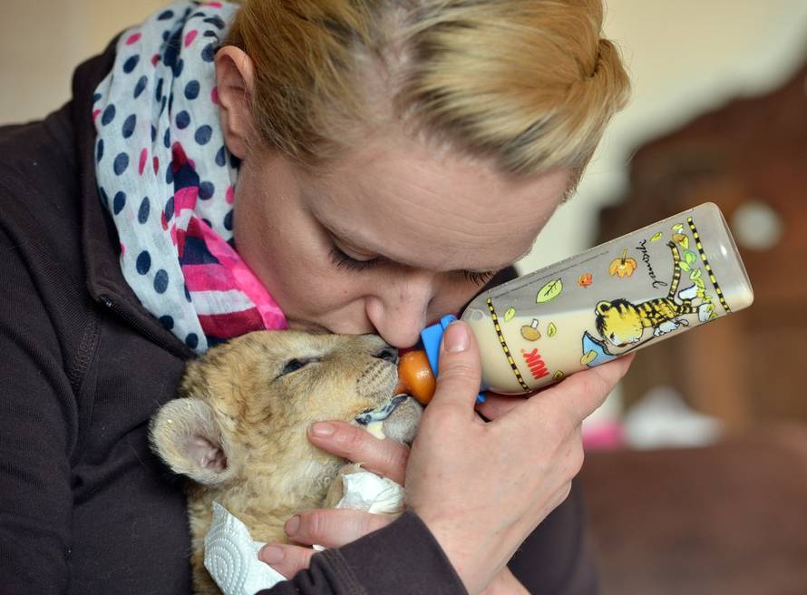 Harald Tittel/DPA/PIXSELL