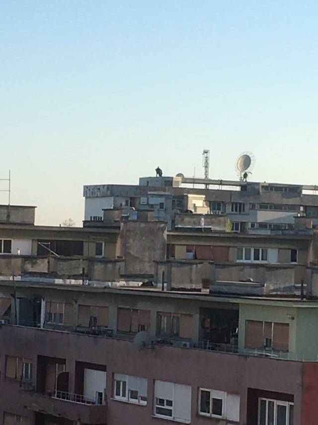 Vitez tame u Zagrebu: Je li se ono ukazao Batman na krovu?