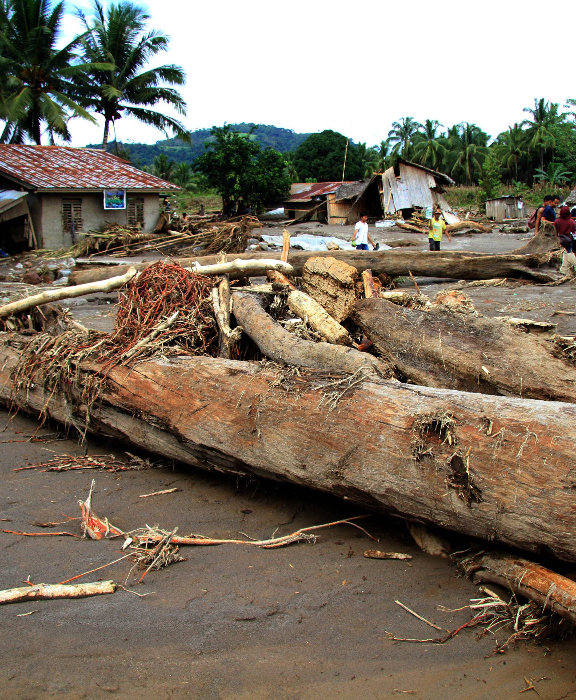Logs swept by flashfloods lie in a village in Salvador, Lanao del Norte