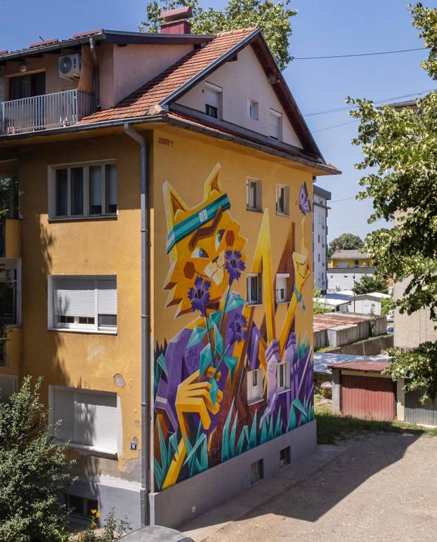 FOTO Grad pretvoren u galeriju: Pogledajte predivne murale na kućama i zgradama u Čačku