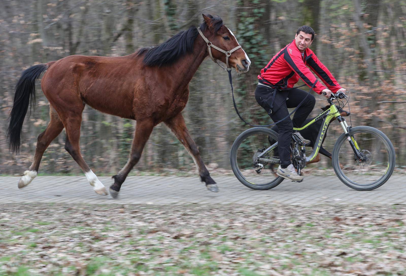 'Moj konj Kasper i ja jurimo šumama čak do 60 km na sat'