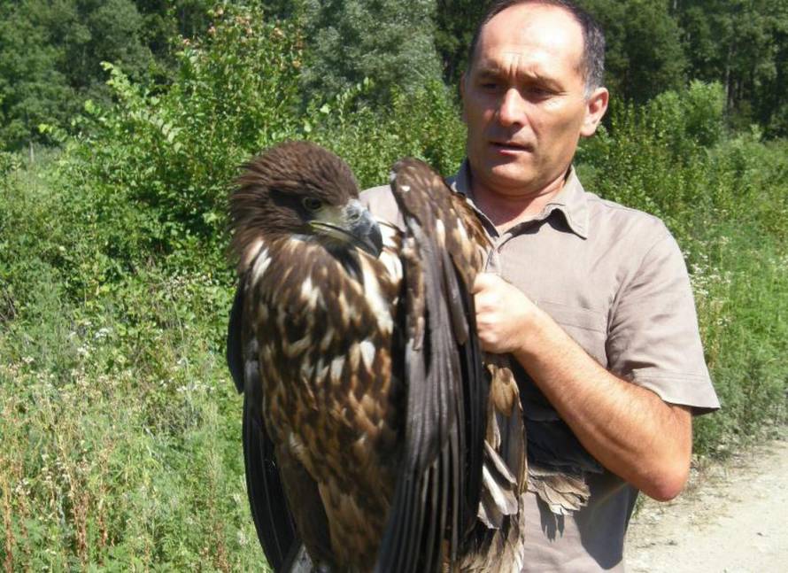 Ivica Galović/PIXSELL