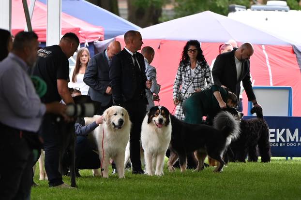 FOTO Neodoljive su njuškice ovih dana blistale u Karlovcu