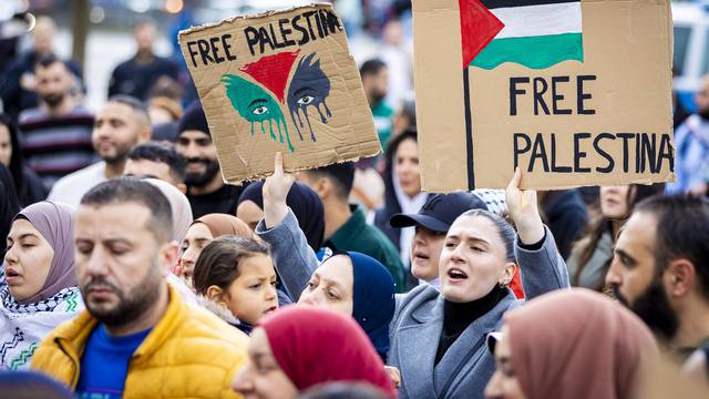 Middle East Conflict - Pro-Palestinian Rally in Braunschweig