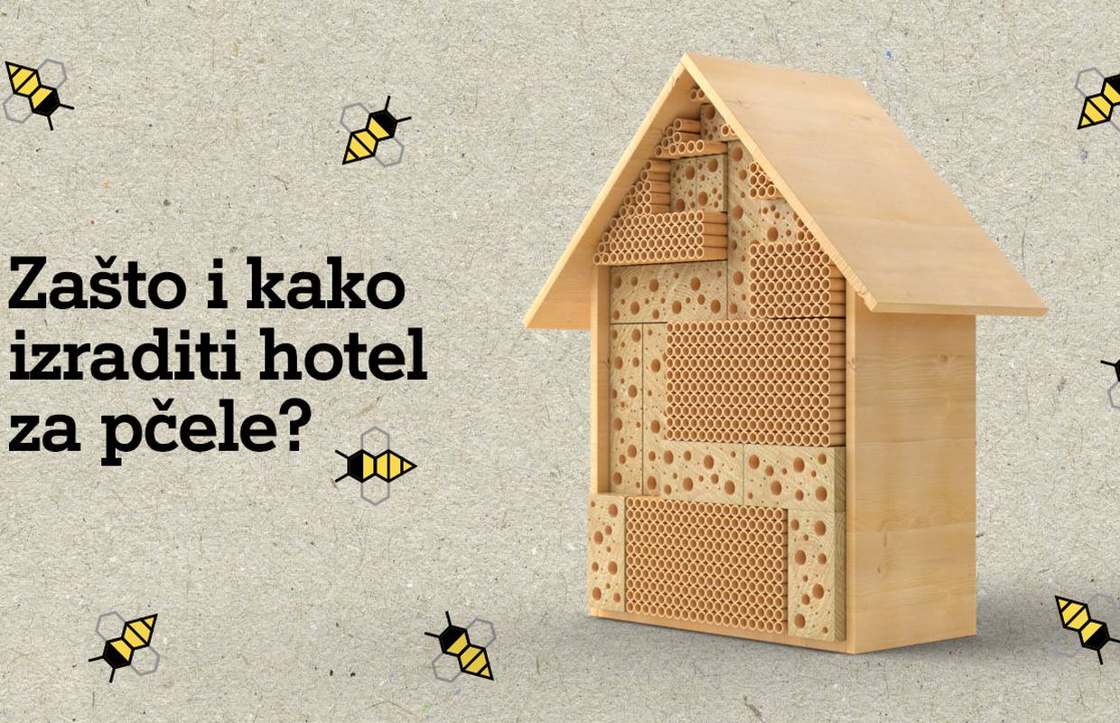 Otvoreni prvi zagrebački hoteli za pčele