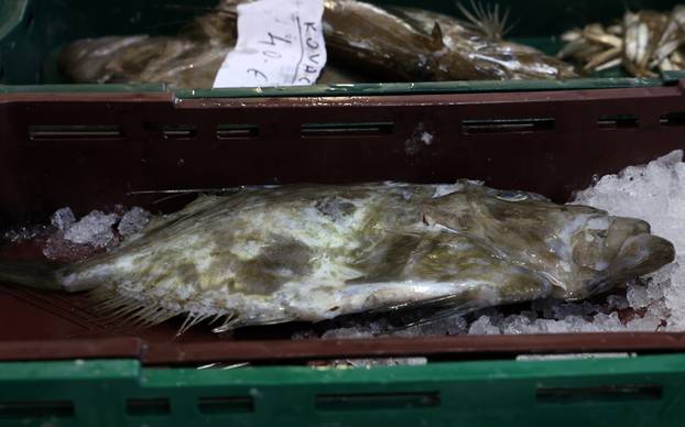 Šibenik: Poskupljenje plavog dizela još se nije odrazilo na cijene u ribarnici