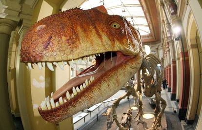 Sedam dinosaura otvorilo muzejsku izložbu
