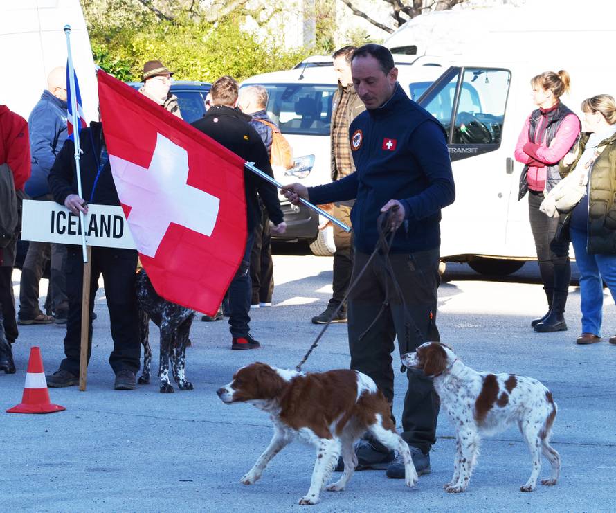Ukrajinska himna orila se u Zadru zbog jednog - psa. Rančo je najbolji ptičar u Europi...
