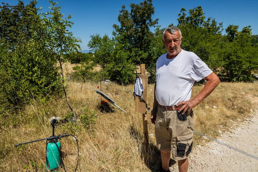Gornje Maovice: Mjesto gdje je potvrđen slučaj bedrenice