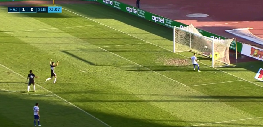 Da je Ježina ostao slaviti na klupi, gol 'bilih' ne bi priznali