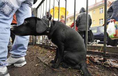 Svijet životinja: Dnevni izbor najboljih fotografija