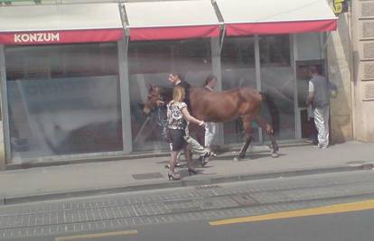 Konju stavio uzde i poput psa ga prošetao Zagrebom