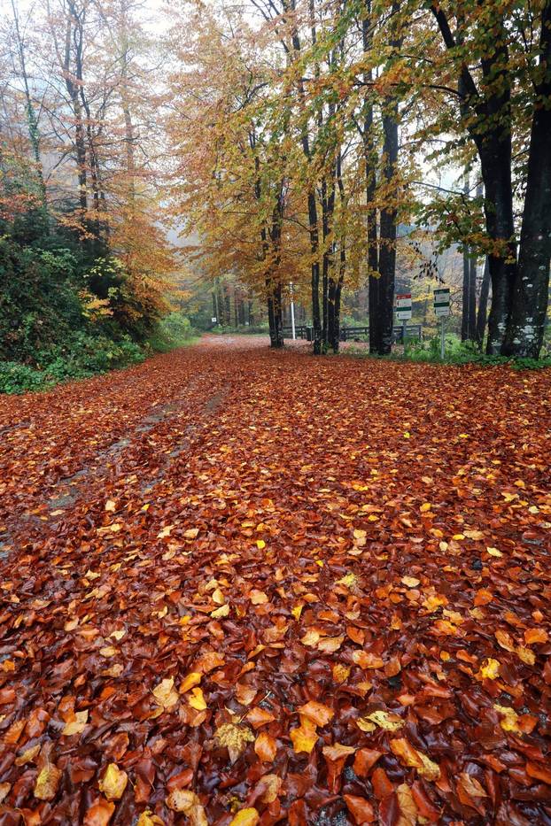 Delnice: Boje jeseni u Gorskom kotaru