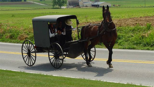 Zavirite u 'čudni' svijet Amiša: "Moderni život je precijenjen"