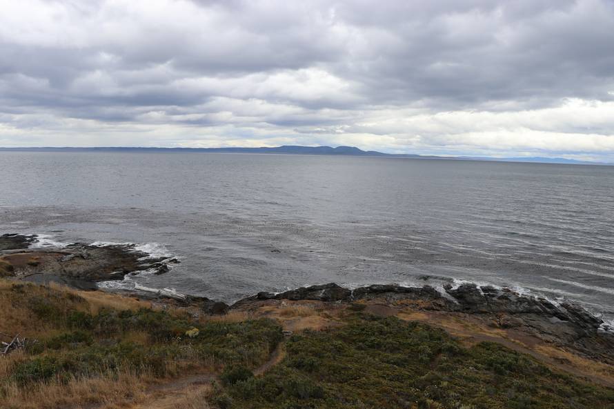 Vjetar nemilice dere, psi šeću i centrom, a napojnicu traže svi