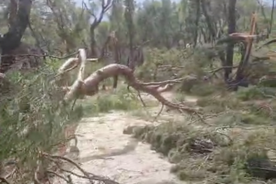 Područje oko Bena, u Park šumi Marjan, stradalo u nevremenu