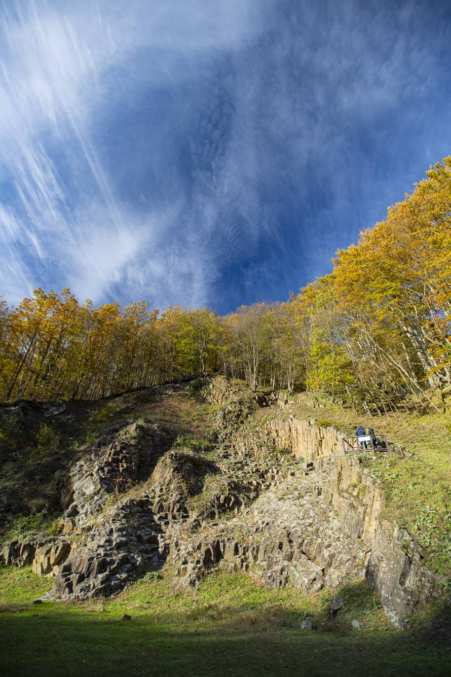 Mistična Papučka šuma – legende i neobjašnjive pojave
