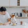 Veterinarka otkrila što psu ne smijete davati za jelo: 'Budite oprezni i sa kuhanim kostima'