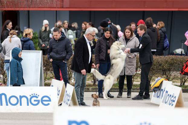 Izložba pasa svih pasmina ispred shopping centra Westgate City u Zaprešiću