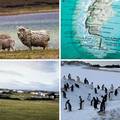 FOTO Carstvo pingvina i ovaca 'usred' oceana: Zbog Falklanda su Britanci i Argentinci i&scaron;li u rat