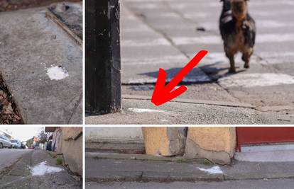 Netko u Zagrebu truje pse?! Na ulici našli čudni bijeli prah