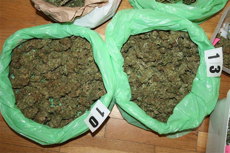 Muškarac (57) sadio i sušio marihuanu u Opuzenu pa je prodavao  po dolini Neretve