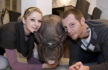 Mladi par živi u stanu s dvije vijetnamske svinje