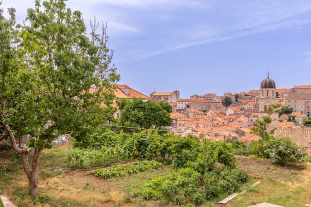 Dubrovnik: Vrtovi franjevačkog samostana