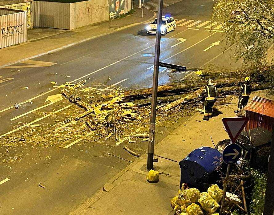 VIDEO Vjetar u Zagrebu srušio drvo od 30 metara u Selskoj! 'Vozili su po suprotnoj traci'
