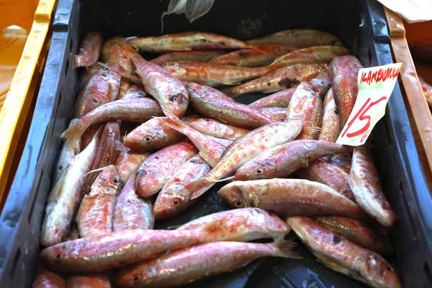Šibenik: Ponuda ribe na šibenskoj ribarnici