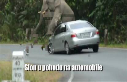 Seksualno frustriran slon od 5 tona 'navalio' na auto  