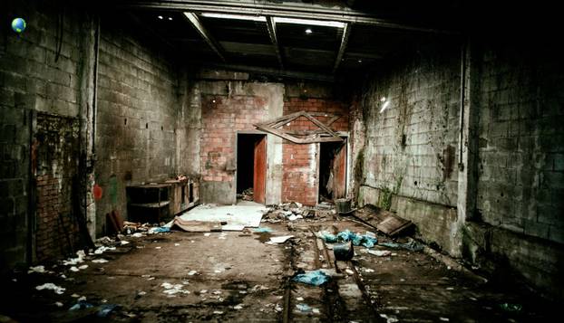 FOTO Evo kako bi izgledalo da ostanete posljednji čovjek na svijetu:  Priroda preuzima sve...