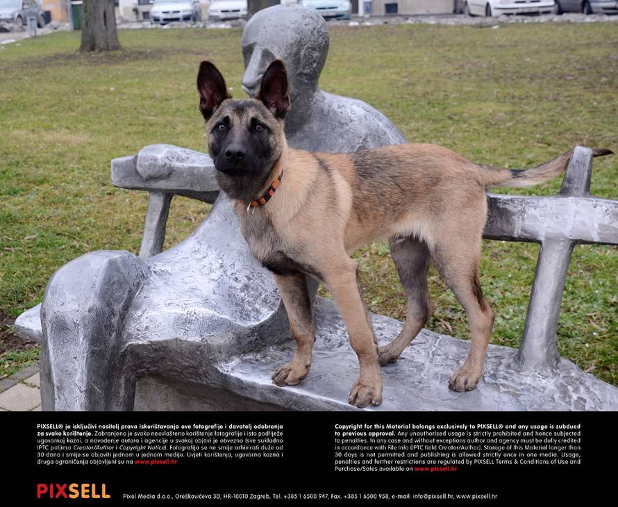 Nikola Čutuk/PIXSELL