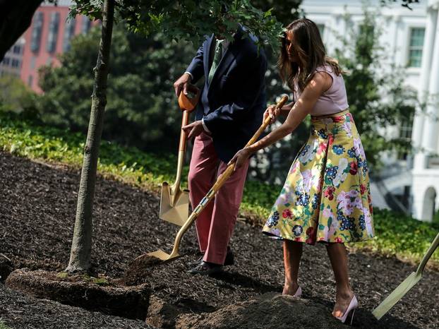 First Lady Melania Trump Plants A Sapling Of The Eisenhower Oak On South Lawn Of White House