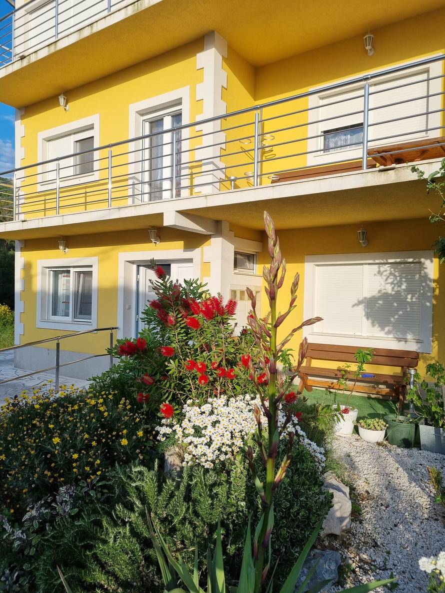 Ustanova iz malog mjesta, rezultati na svjetskoj razini