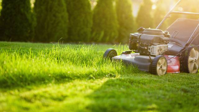 Pokošena trava može spasiti vaš travnjak tijekom vrućina
