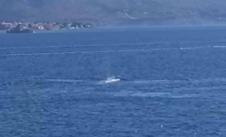 Dva kita plivala kod Korčule: 'Zalutali su i približili se obali'
