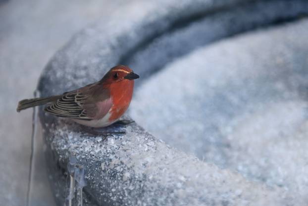 24 SATA Zagreb: Izlog ateljea Saša Šekoranja