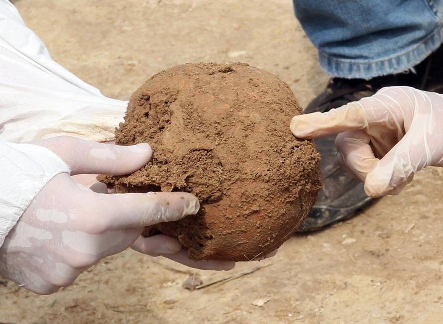 Otkriće antropologa u Osijeku: 'Huni su bili ovdje u 5. stoljeću'