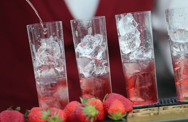 Održana je manifestacija Dani jagoda u Vrgorcu