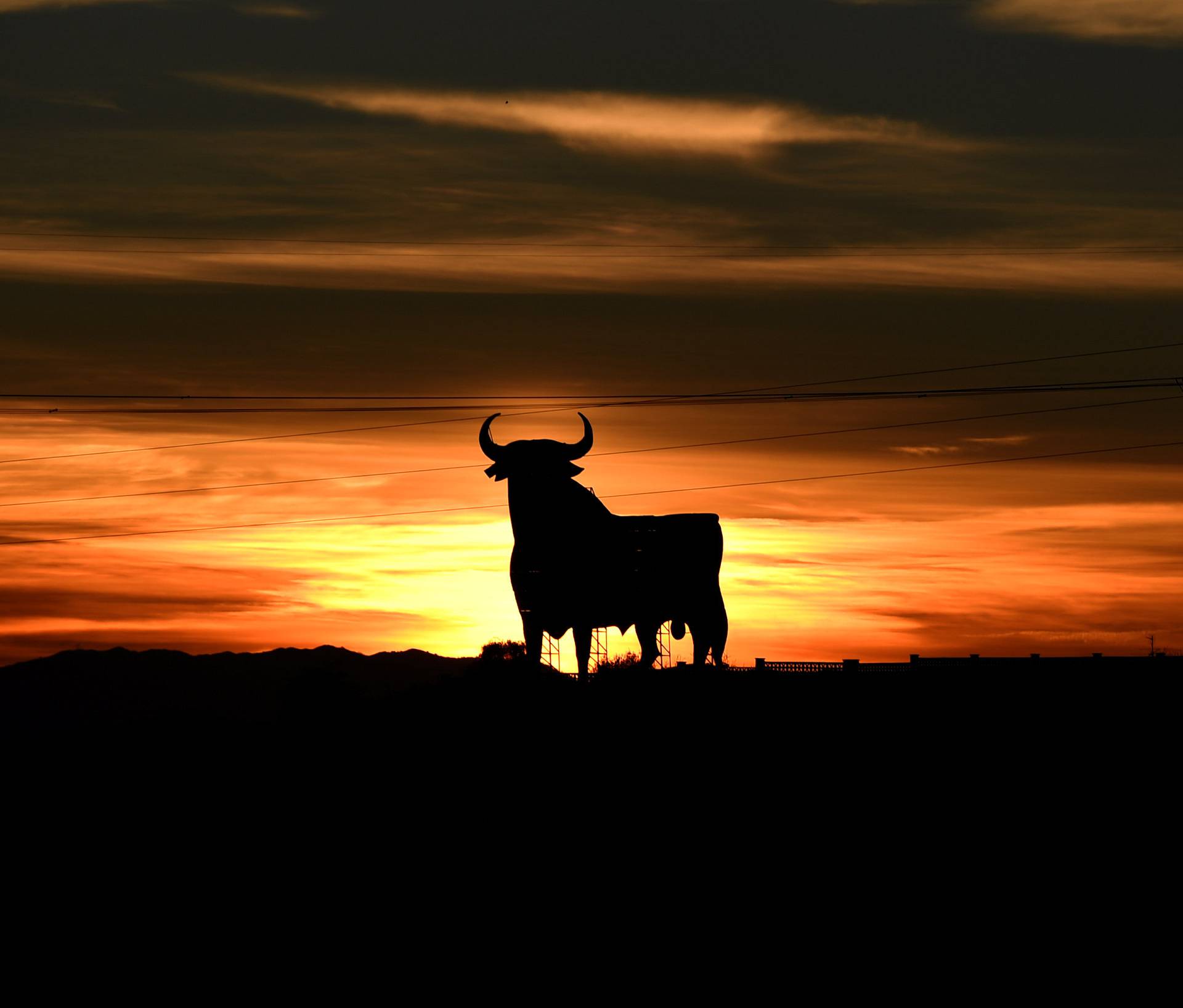 Power lines connecting pylons of high-tension electricity and a billboard-sized figure of a bull, known as the "Osborne bull", are seen at sunset in El Berron