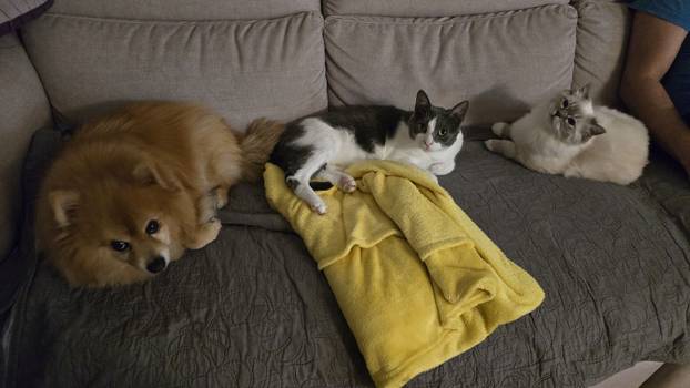 SUPER FOTKE vaših ljubimaca! Neki bi mogli biti viralni hit, ali svi su jednostavno neodoljivi