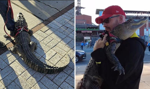 Nevjerojatno! Htio na utakmicu s aligatorom na uzici: 'On je moja emocionalna podrška...'