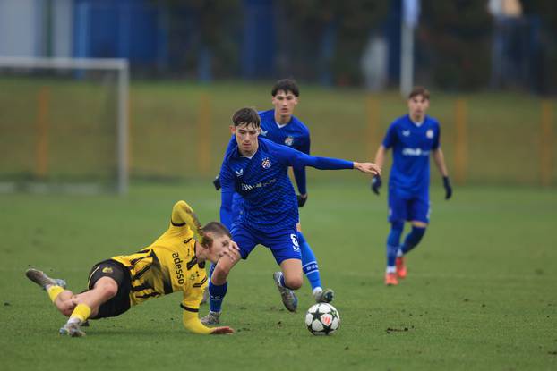 Zagreb: Utakmica mladih U19 GNK Dinamo - Borussia Dortmund