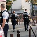 Najezda buha u Parizu: Do krvi su izujedale policajce u stanici