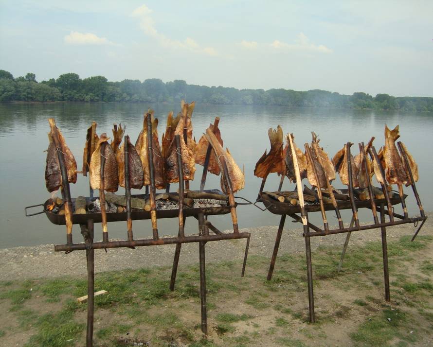 Od sjajne hrane do kupanja i sunčanja na adi, Vukovar ima sve za nezaboravno ljeto