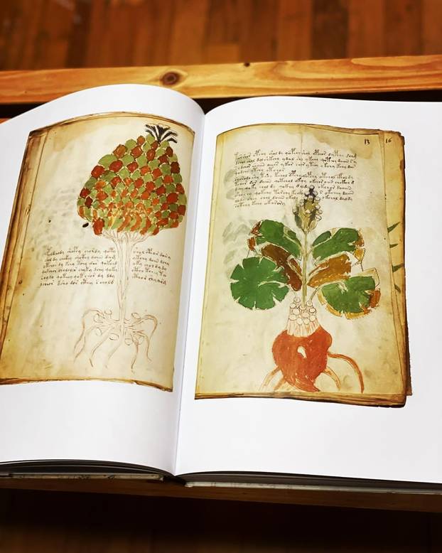 FOTO Jedinstvena otkrića: Ovo su drevni misteriji koji i arheologe ostavljaju u čudu
