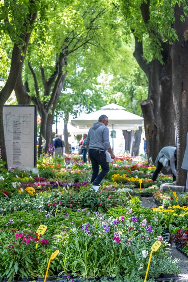 Pula: 17. Florija (sajam cvijca) na Giardinima